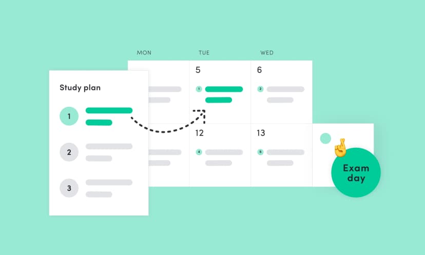 Study Plan